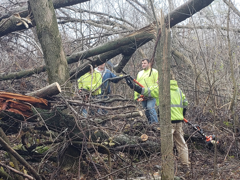 /pictures/Trail Clean Up 2018/20181104_093625.jpg